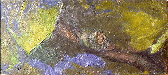 ނ
