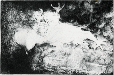 1960年