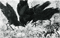 不情(カマキリとカラス)