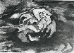 映った顔